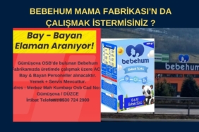 SAKARYA (1)