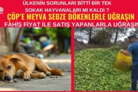 SAKARYA