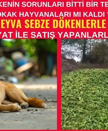 SAKARYA