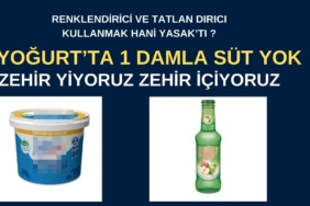 SAKARYA (2)