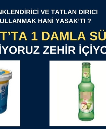 SAKARYA (2)