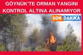SAKARYA (3)