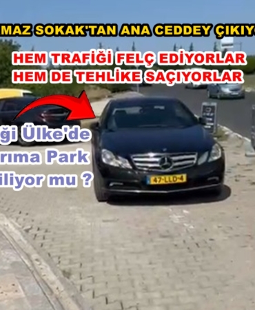 b9569f2f-c558-4d4d-8a90-0a768ca04937