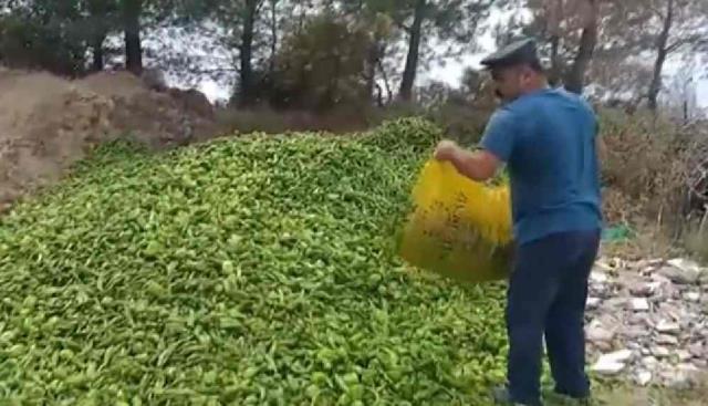 ÇÖPE YİYECEK DÖKENLER FAHİŞ FİYAT İLE SATIŞ İÇİN YASA ÇIKARTIN