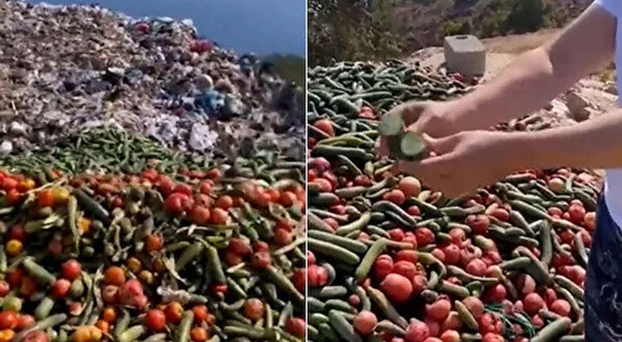 ÇÖPE YİYECEK DÖKENLER FAHİŞ FİYAT İLE SATIŞ İÇİN YASA ÇIKARTIN