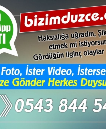 359817416_765403822252104_7267833747650050427_n