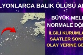 BALIK