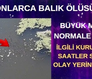 BALIK