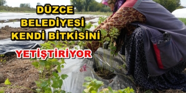 BELEDİYE