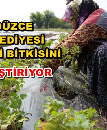 BELEDİYE