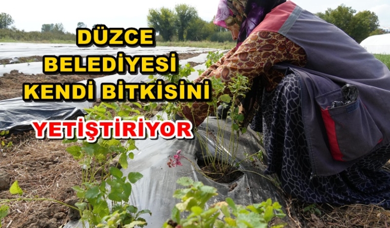 BELEDİYE