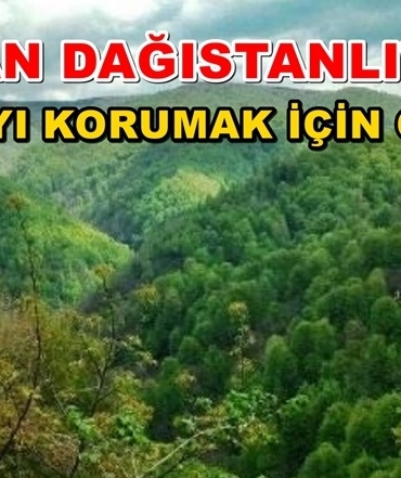 Bir başlık ekleyin