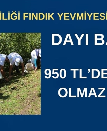 SAKARYA