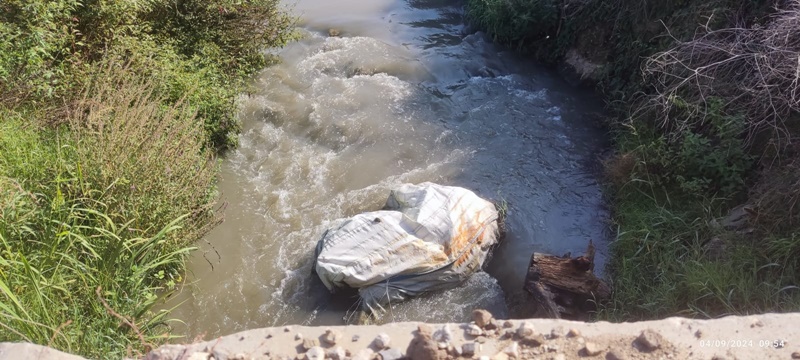 BÜYÜK MELEN NEHRİ'N DE BALIK ÖLÜMLERİ: