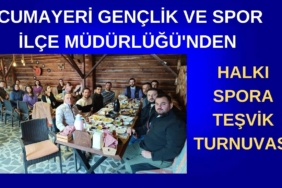 AK PARTİ GENEL BAŞKAN YARDIMCISI (6)