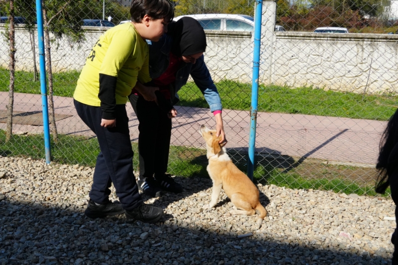 YAVRU KÖPEK ‘ÖZEL’ OKULA TESLİM EDİLDİ YAVRU KÖPEK ‘ÖZEL’ OKULA TESLİM EDİLDİ