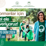 orman-temizligi-popup