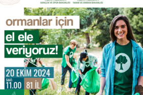orman-temizligi-popup