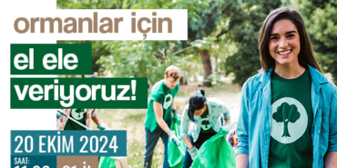 orman-temizligi-popup