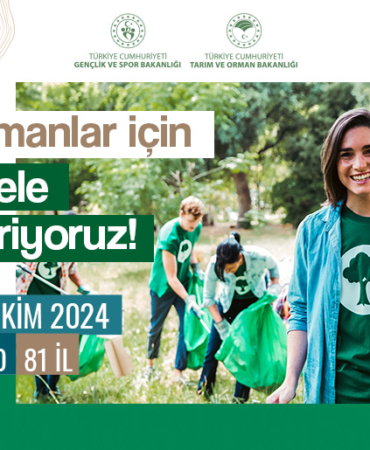 orman-temizligi-popup