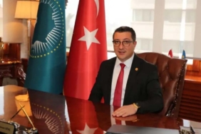 şablon