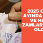2025 Ocak Ayında Vergi ve Harç Zamları (1)
