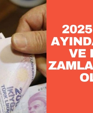 2025 Ocak Ayında Vergi ve Harç Zamları (1)