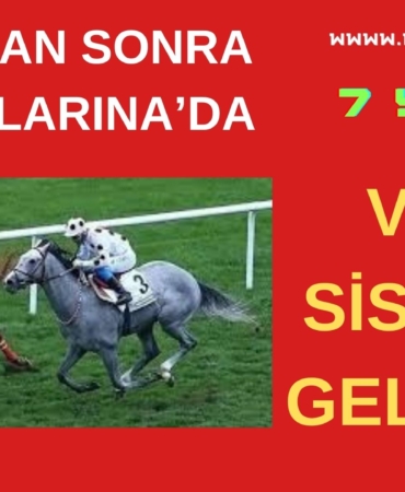 KOM ŞUBE’DEN OPERASYON 7 KİŞİ TUTUKLANDI (6)