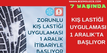 KOM ŞUBE’DEN OPERASYON 7 KİŞİ TUTUKLANDI (9)