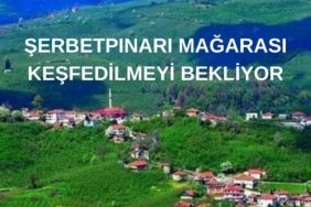 KONURALP'TE YANGIN... (3)