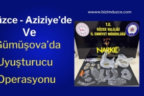 BİZİM DÜZCE GAZETESİ (4)