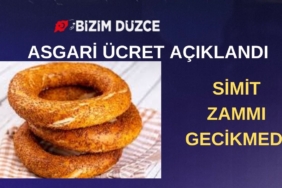 BİZİM DÜZCE GAZETESİ (9)