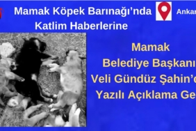 Bir alt başlık ekleyin (2)