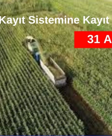 CHP DÜZCE MV TALİH ÖZCAN (3)