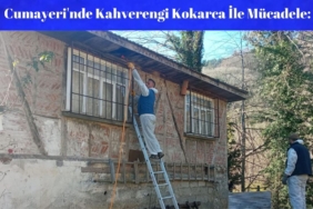 Cumayeri'nde Kahverengi Kokarca Ile Mücadele Ilçe Genelinde Ilaçlama Çalişmalari Devam Ediyor (1)