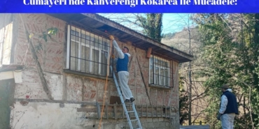 Cumayeri'nde Kahverengi Kokarca Ile Mücadele Ilçe Genelinde Ilaçlama Çalişmalari Devam Ediyor (1)