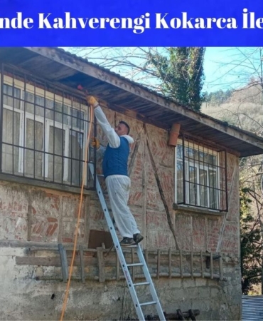 Cumayeri'nde Kahverengi Kokarca Ile Mücadele Ilçe Genelinde Ilaçlama Çalişmalari Devam Ediyor (1)