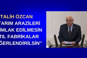 TALİH ÖZCAN ''ATIL FABRİKALAR DEĞERLENDİRİLSİN'' (1)