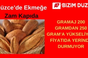 BİZİM DÜZCE GAZETESİ (2)
