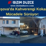 BİZİM DÜZCE GAZETESİ (2)
