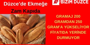 BİZİM DÜZCE GAZETESİ (2)