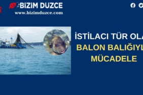 BİZİM DÜZCE GAZETESİ (3)