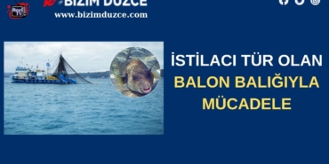 BİZİM DÜZCE GAZETESİ (3)