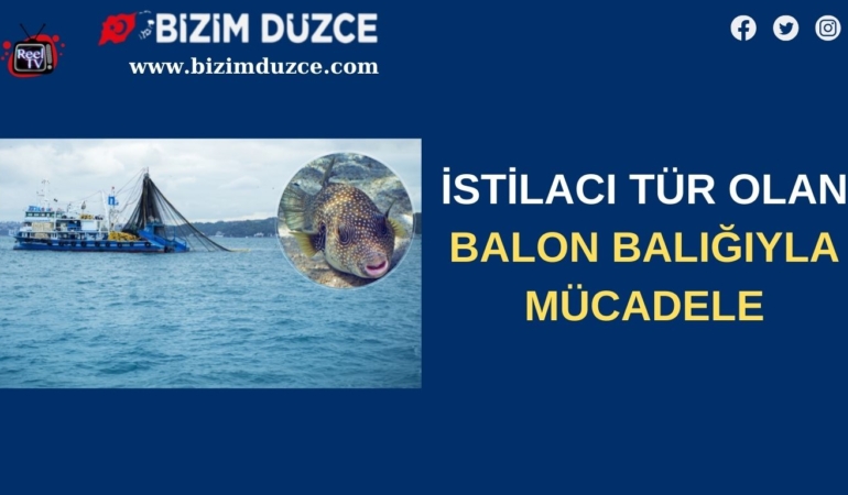 BİZİM DÜZCE GAZETESİ (3)