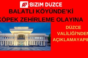 BİZİM DÜZCE GAZETESİ (6)