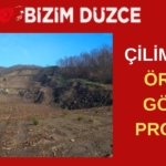 BİZİM DÜZCE GAZETESİ (7)