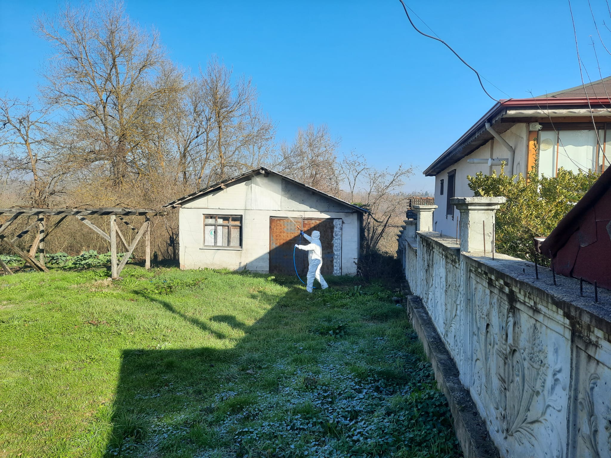 Gümüşova'da Kahverengi Kokarca ile Mücadele Sürüyor; Gümüşova'da Kahverengi Kokarca ile Mücadele Sürüyor;