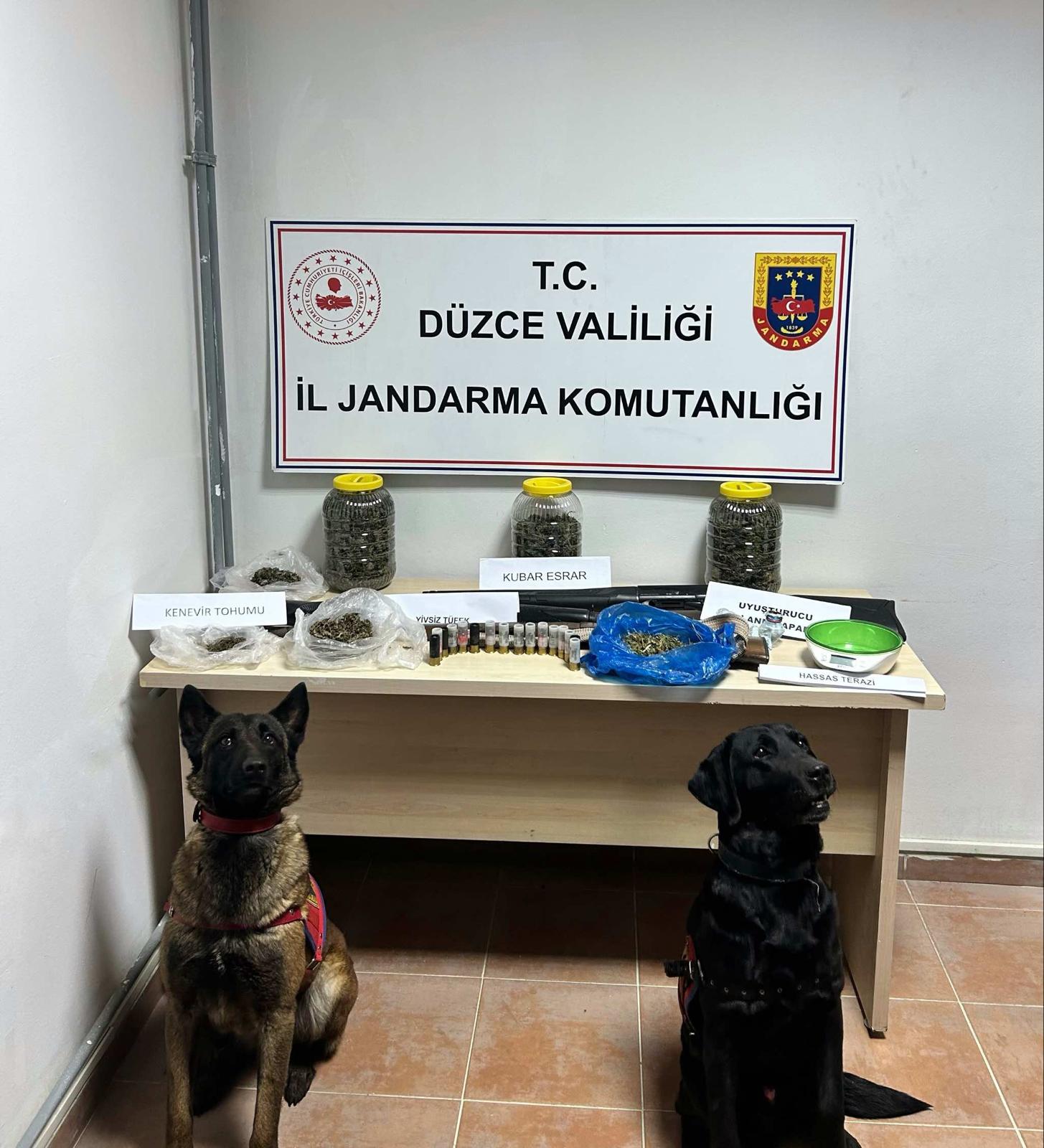 GÜMÜŞOVA'DA UYUŞTURUCU OPERASYONU: