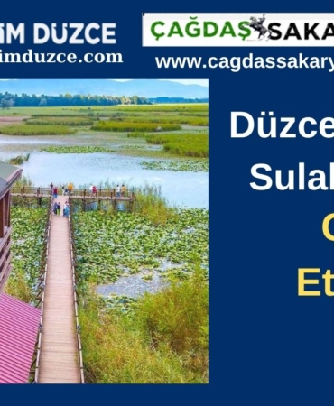 BİZİM DÜZCE GAZETESİ