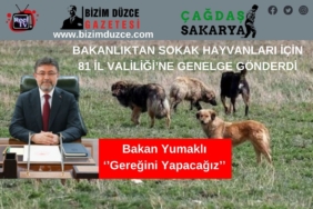 BİZİM DÜZCE GAZETESİ